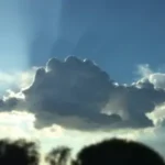 El ritmo de la vida