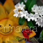 La Primavera