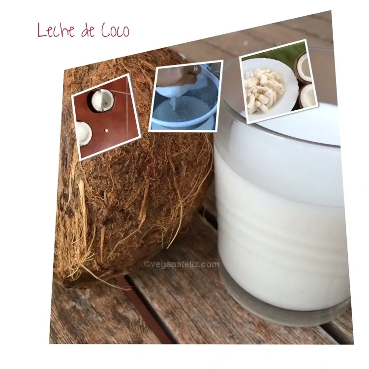lecheCoco lecheCoco