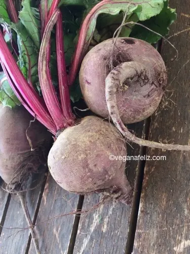 Zumo de remolacha Zumo de remolacha