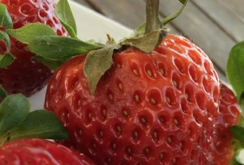 Leche de almendra con fresas Leche de almendra con fresas