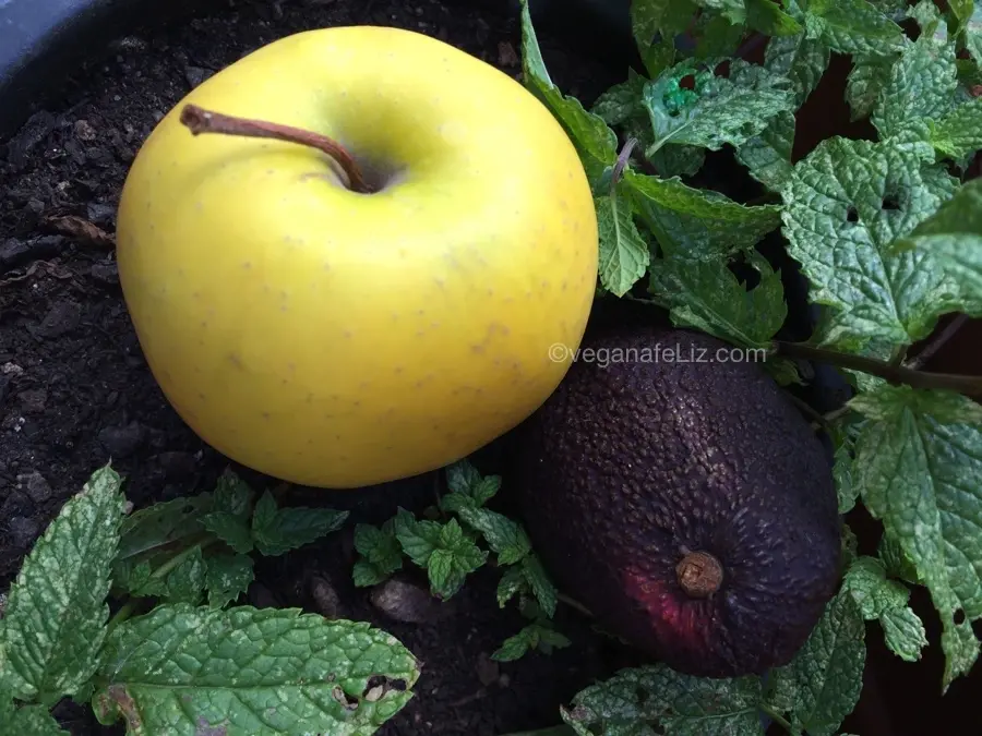 Crema fría de aguacate y manzana Crema fría de aguacate y manzana