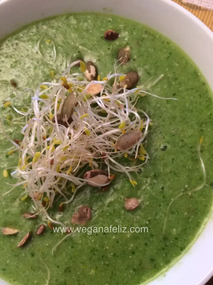 Crema de calabacín y brócoli Crema de calabacín y brócoli