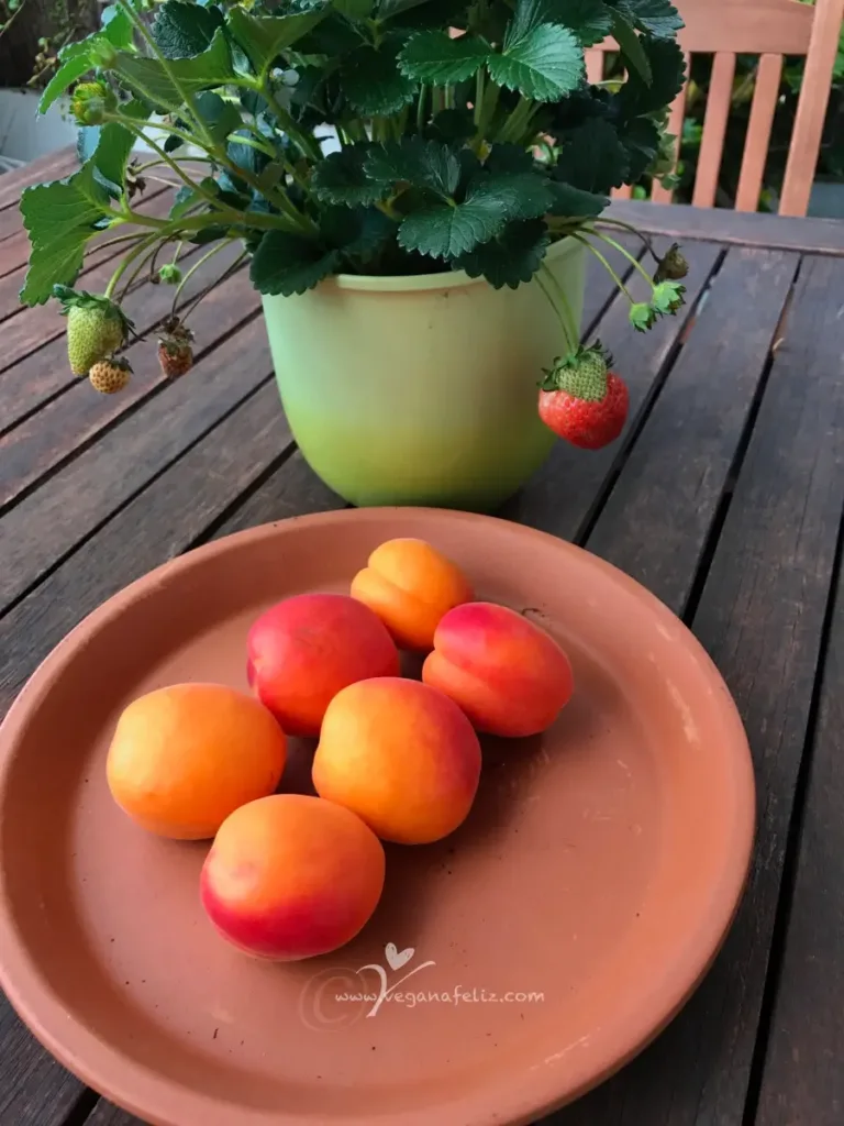 Albaricoques y Fresas Albaricoques y Fresas