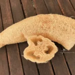 Luffa esponja vegetal