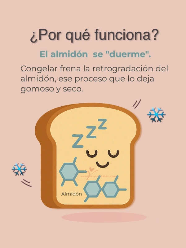 Congelar el pan Congelar el pan